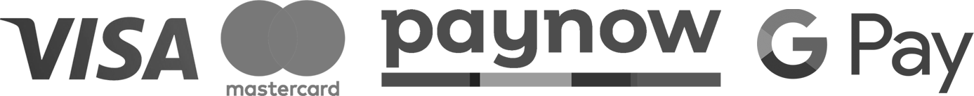 visa mastercard paynow gpay